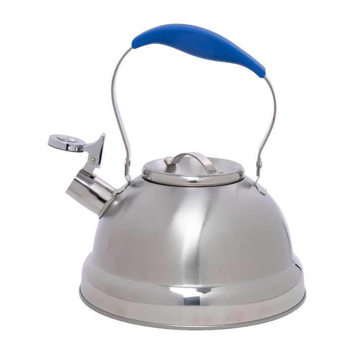 Tetera de Acero Inoxidable 3L con Asa Ergonómica Azul