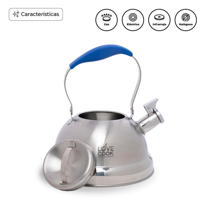 Tetera de Acero Inoxidable 3L con Asa Ergonómica Azul