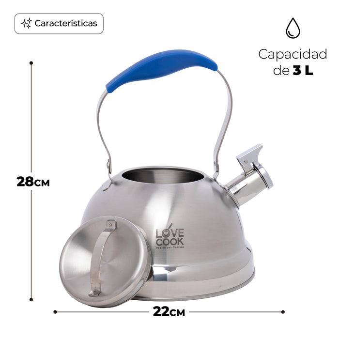 Tetera de Acero Inoxidable 3L con Asa Ergonómica Azul